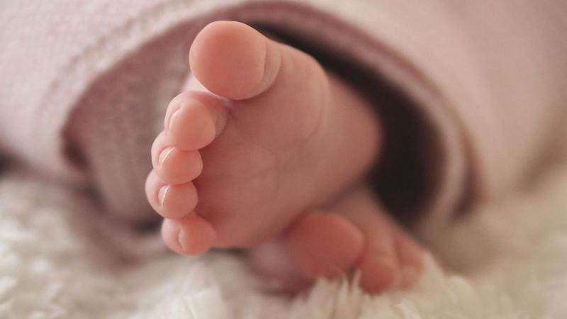 Gólyahír: Üdvözöljük Ádint, Noelt és Grétát, akik mostantól velünk ünneplik az életet!
