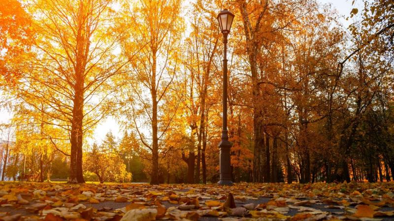 Íme, hogyan alakul a hőmérséklet és a csapadék csütörtökön: