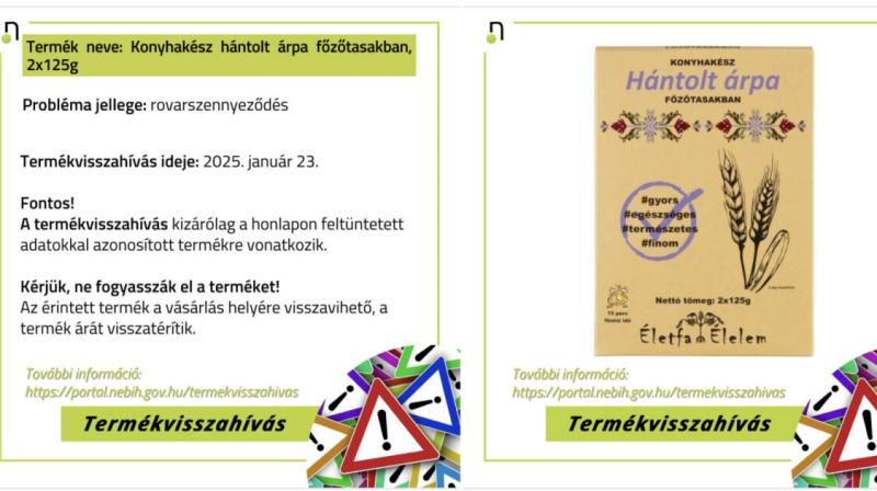 Figyelj oda, mert egy rovar bújt meg ebben az ételben! Ne fogyaszd el! - Házipatika