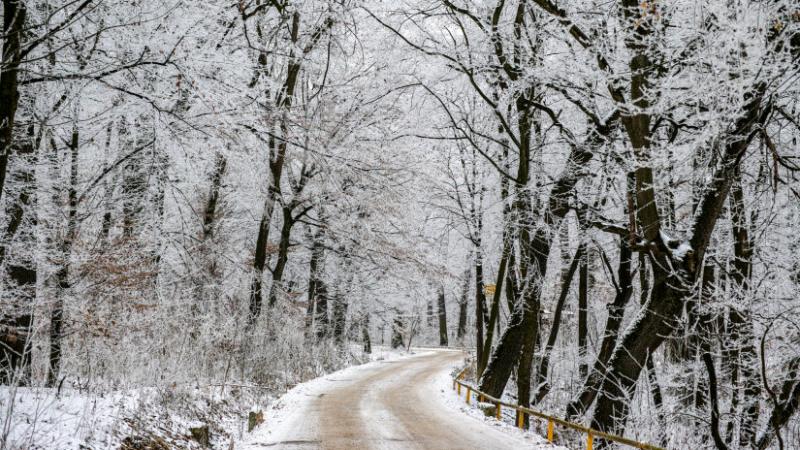 Kezdetét veszi a havazás: felfedjük, mely területeken várható, hogy hamarosan hó lepi be a tájat - Agrárszektor