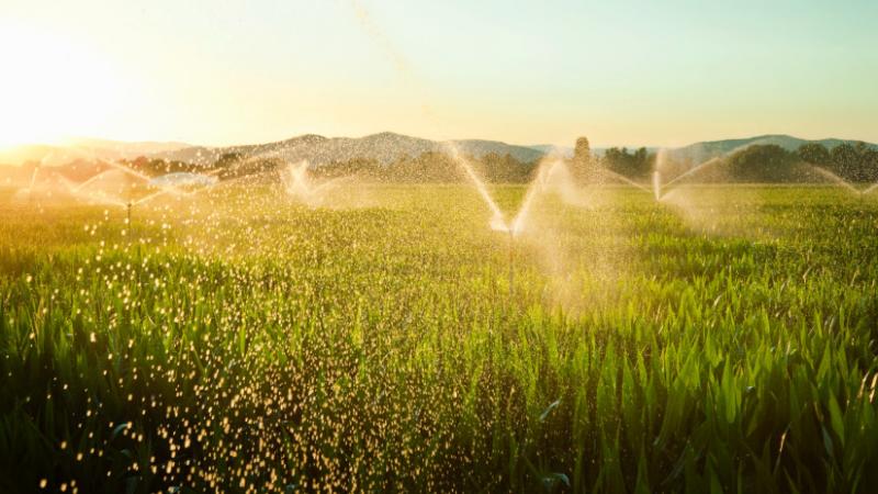 Fontos átalakulások várhatóak a fúrt kutakkal kapcsolatban - amit érdemes szem előtt tartani - Agro Napló