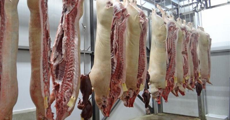 Kereskedelmi áttörés: Az agrárexport újraéledése Kína felé